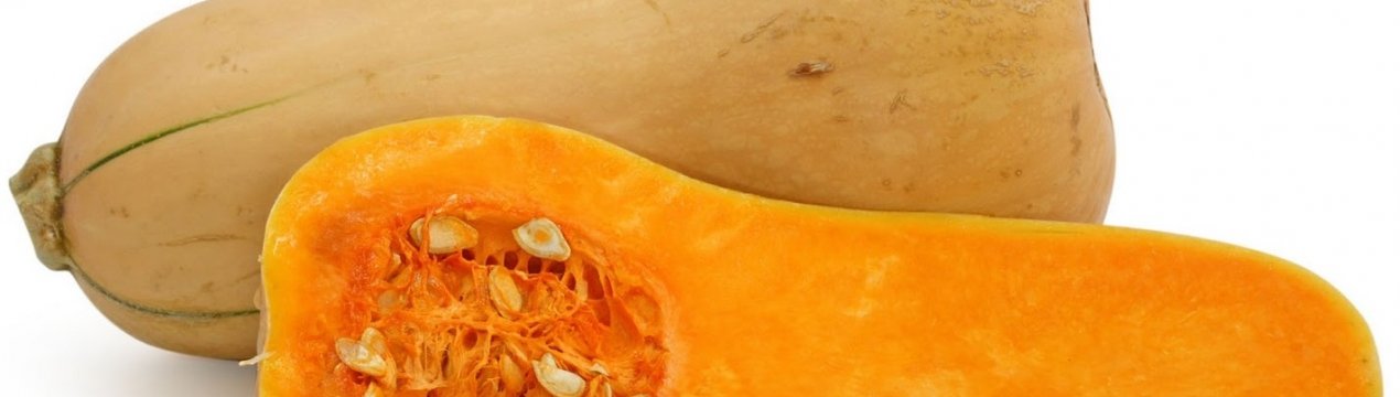 Гарбуз Баттернат : вирощування і догляд - користь і калорійність овочу