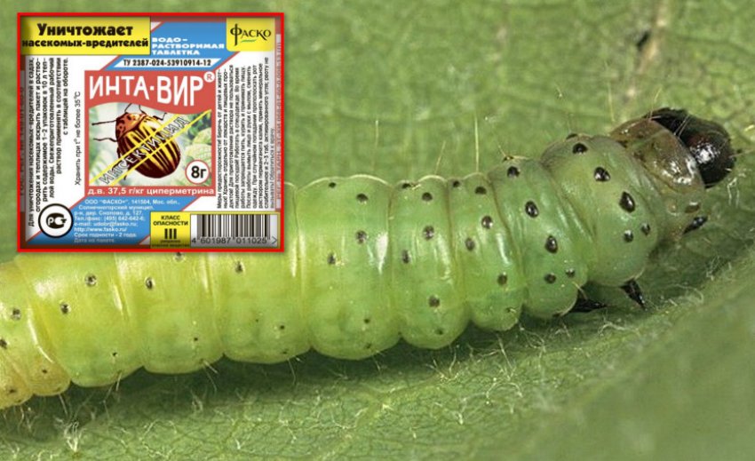 Препарат для боротьби з гусеницями