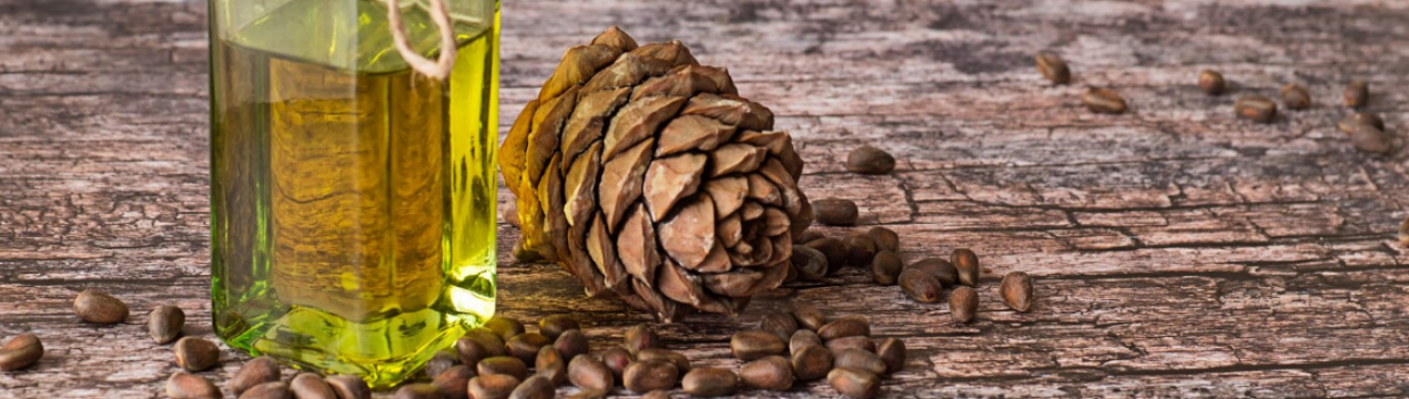 Користь і шкода кедрового олія