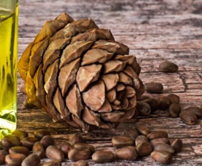 Користь і шкода кедрового олія