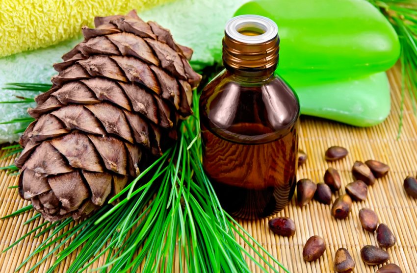 Кедрова олія Кедрова олія