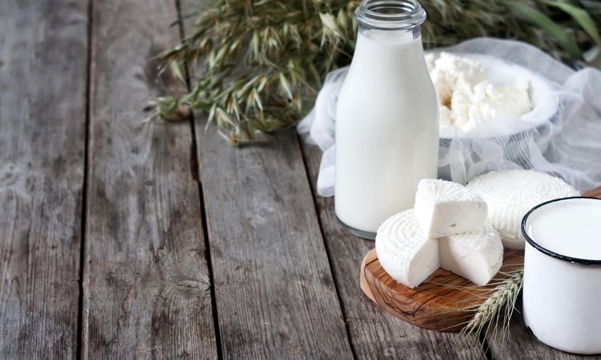 Челябінський сировар планує створити кооператив зі збору молока