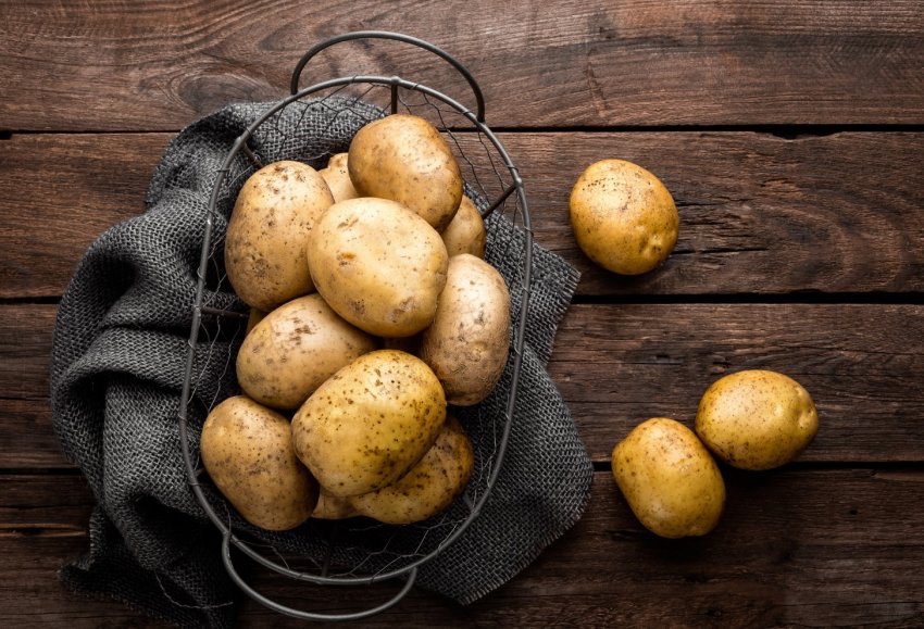 Українські вчені отримують елітні клубні картоплі прискореним методом