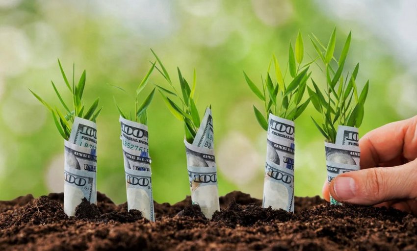 Стартовий капітал для бізнесу Стартовий капітал для бізнесу