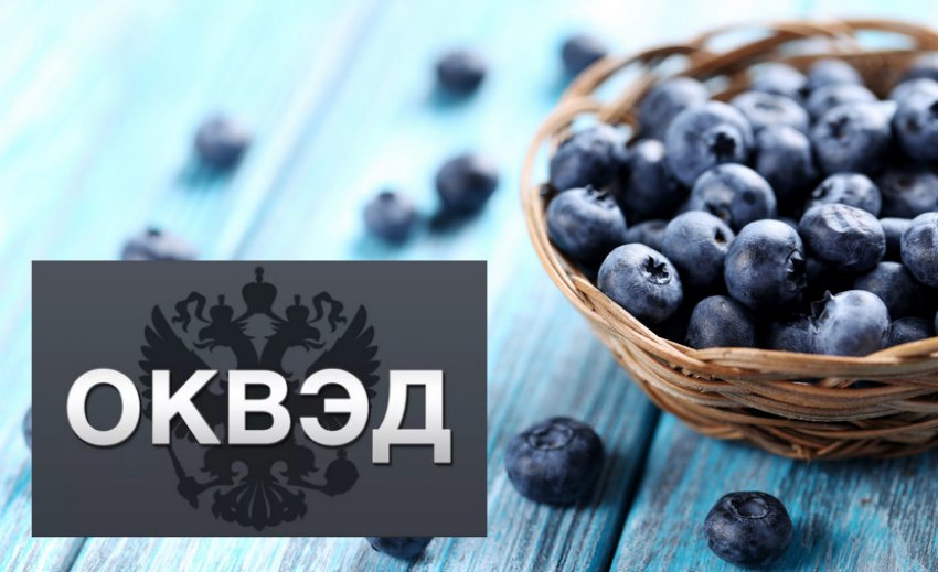 Реєстрація за класифікацією ОКВЕД Реєстрація за класифікацією ОКВЕД