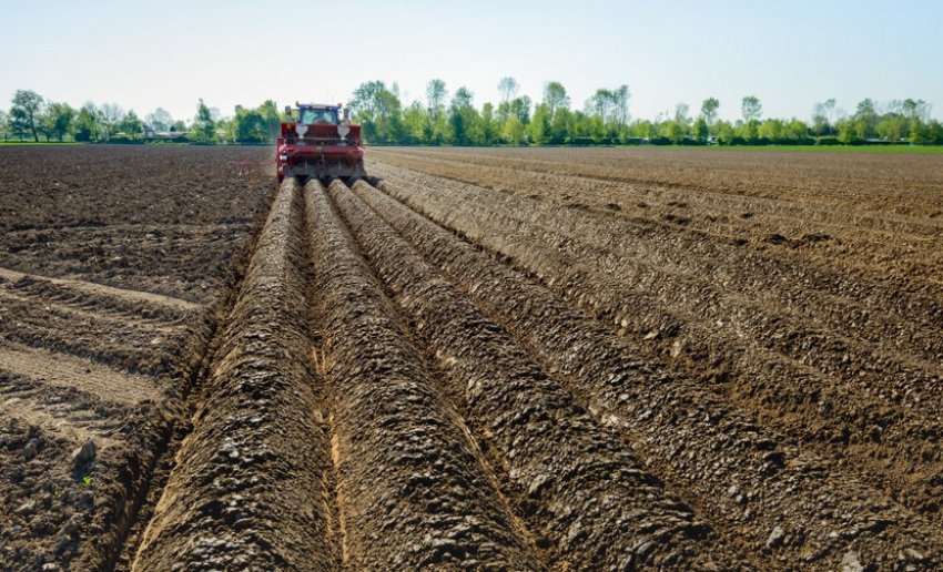 Почвенні гребені Почвенні гребені