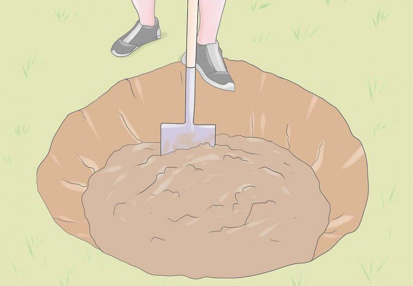 Підготовка посадкової ями Підготовка посадкової ями