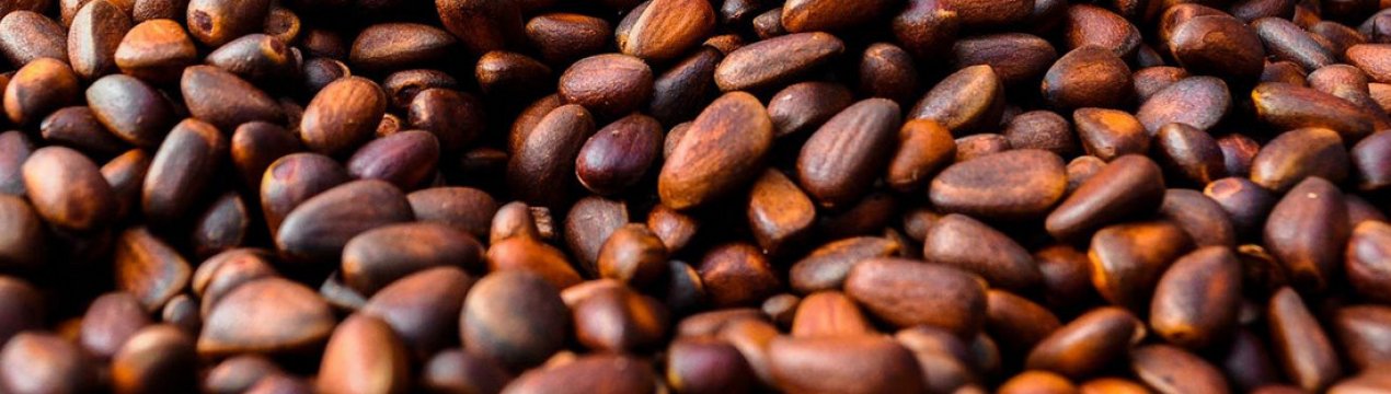 Використання кедрових горішків під час вагітності