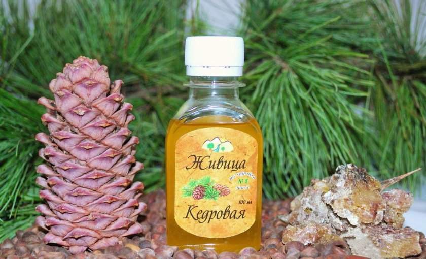 Кедровая живица