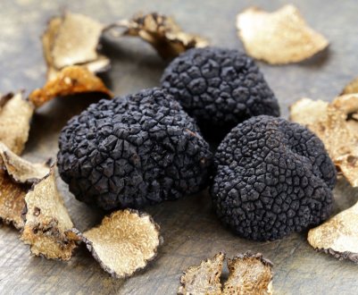 Іспанські фермери навчилися вирощувати коштовні трюфелі