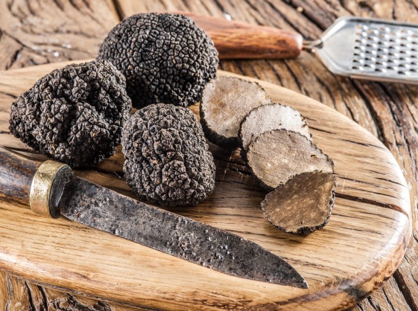 Іспанські фермери навчилися вирощувати коштовні трюфелі