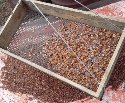 Как сделать сито для кедрового ореха своими руками