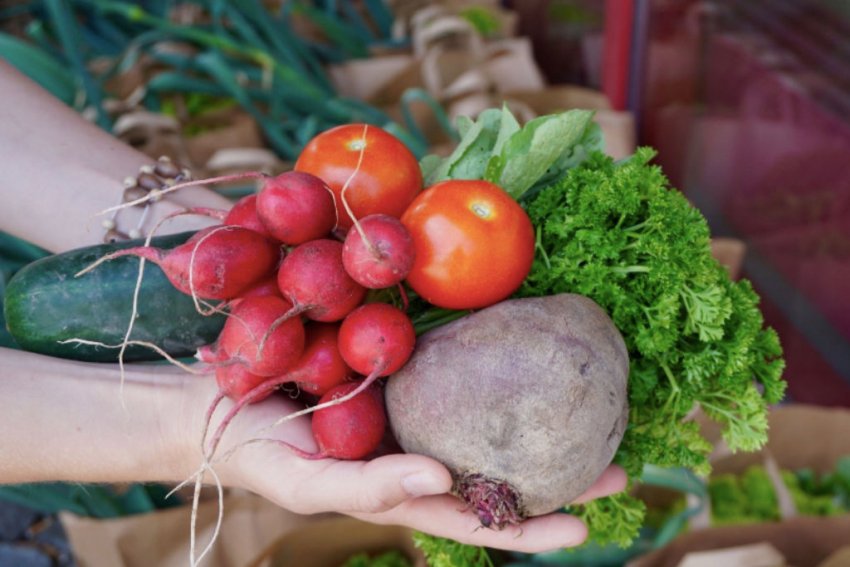 Свіжі овочі з тюрми - новий проект німецьких студентів Свіжі овочі з тюрми - новий проект німецьких студентів
