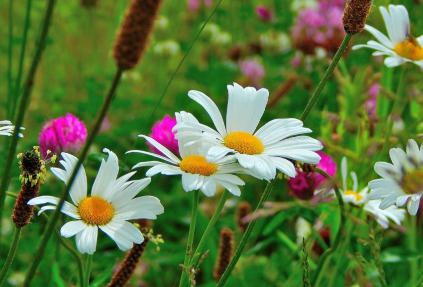 В Південній Кореї створили інтелектуальну прохолодну теплицю В Південній Кореї створили інтелектуальну прохолодну теплицю