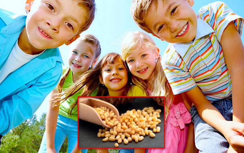 Кедровые орехи для детей