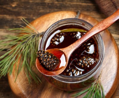 Як виробляють кедровий мед