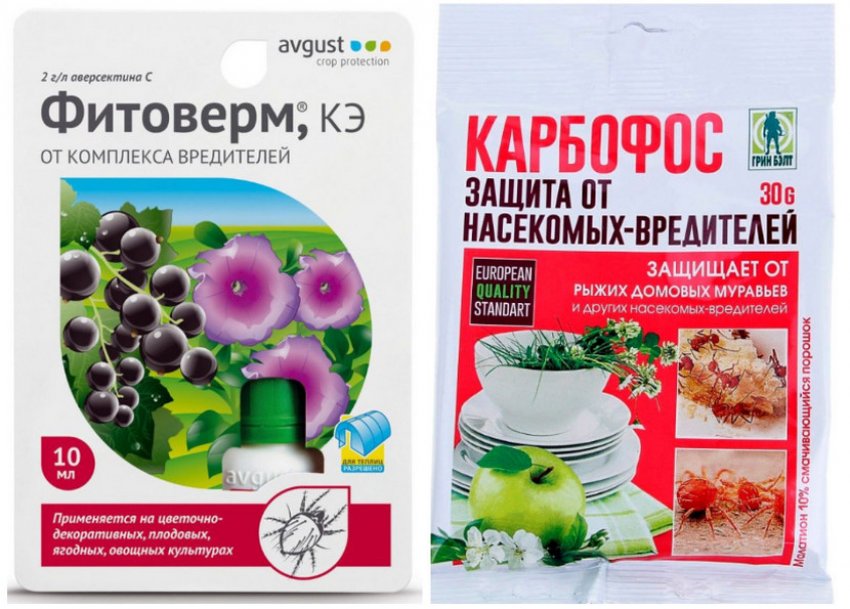 Препарати для боротьби зі шкідниками Препарати для боротьби зі шкідниками