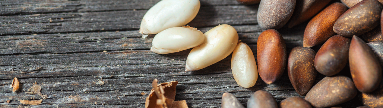 Чем полезны кедровые орехи для организма женщин