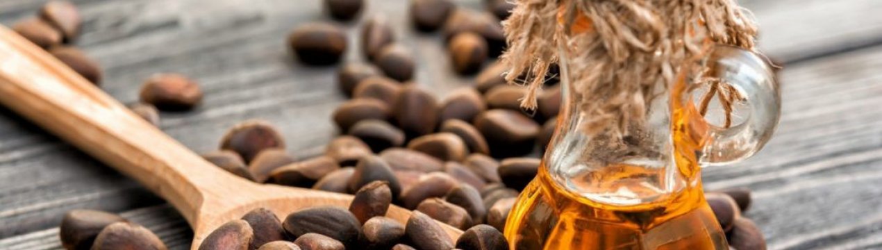 Как получить кедровое масло в домашних условиях: пошаговые инструкции