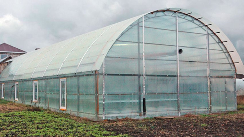 Повністю автоматизована теплиця відкрилась в Липецькій області Повністю автоматизована теплиця відкрилась в Липецькій області