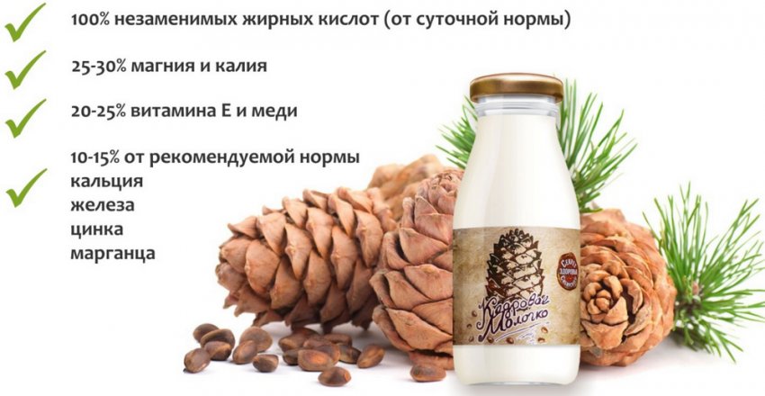 чем полезно кедровое молоко. Смотреть фото чем полезно кедровое молоко. Смотреть картинку чем полезно кедровое молоко. Картинка про чем полезно кедровое молоко. Фото чем полезно кедровое молоко
