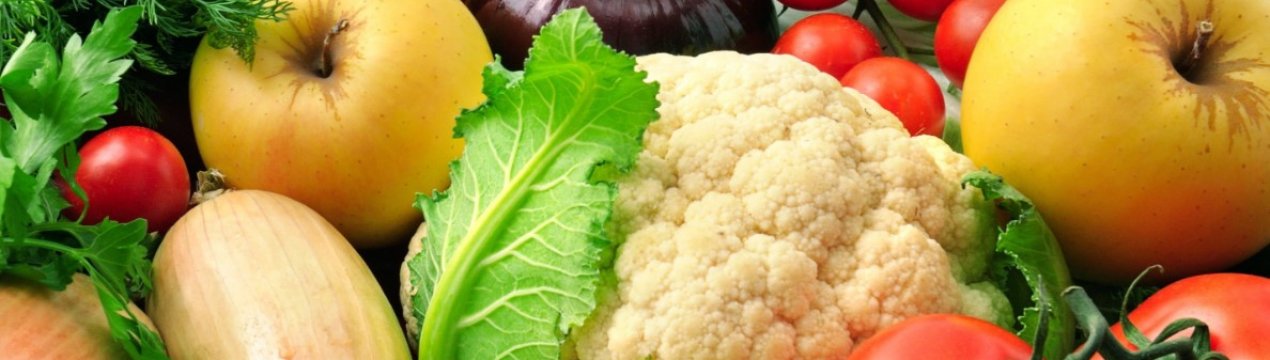 Повністю автоматизована теплиця відкрилася в Липецькій області