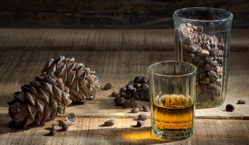 Настойка кедра Настойка кедра