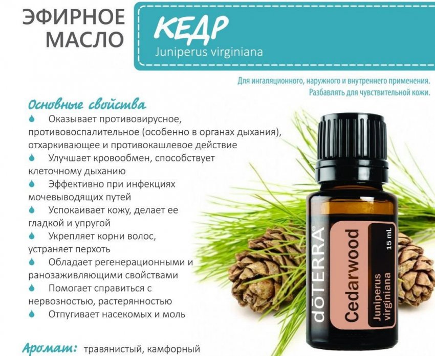 Полезные свойства эфирного масла кедра Полезные свойства эфирного масла кедра