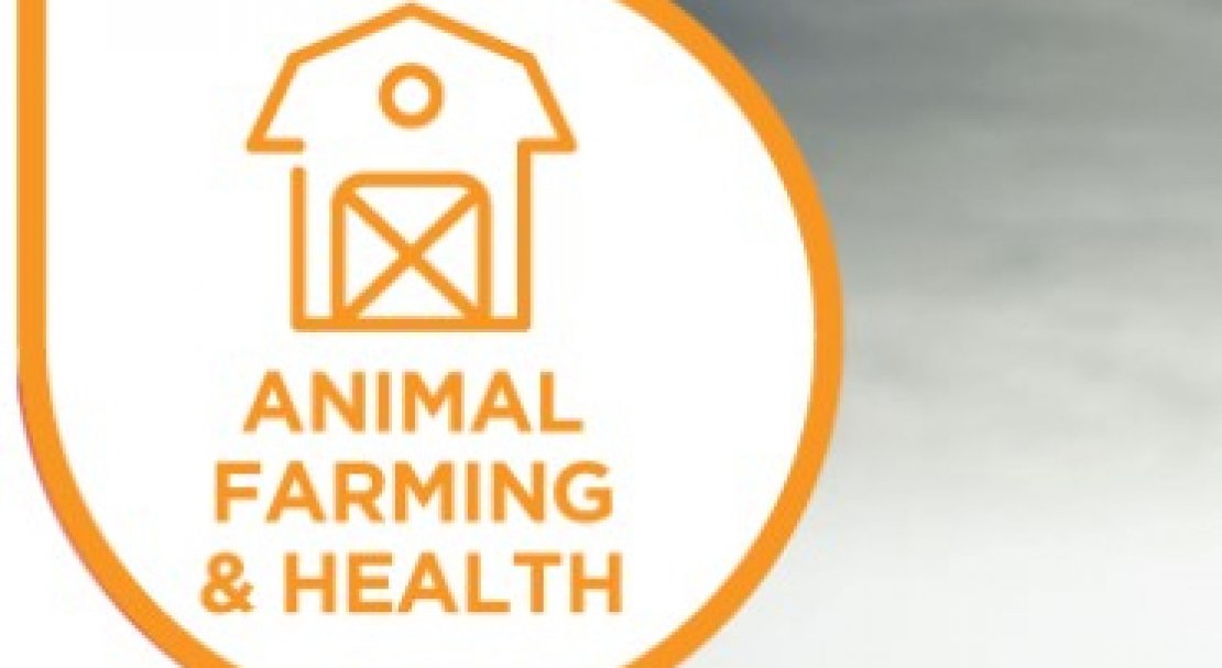 Animal Health 2020
