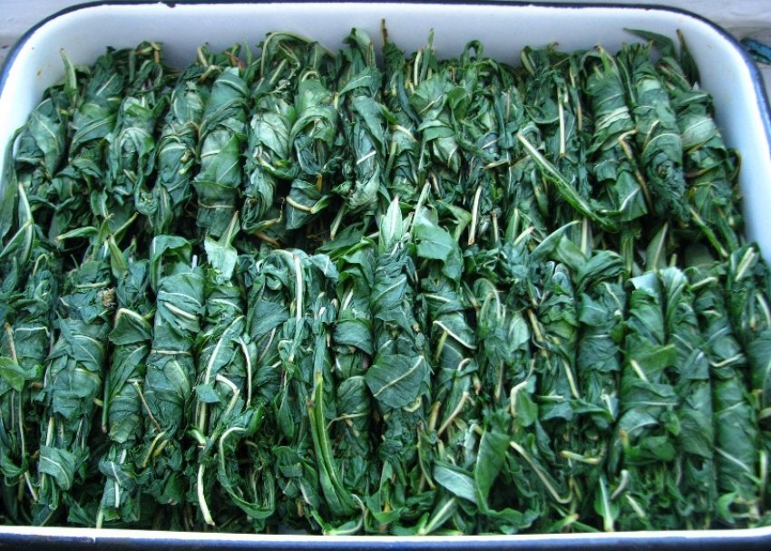 Ферментація листя