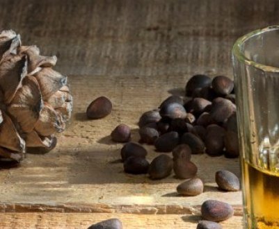Рецепти настою та самогону на кедрових горішках, їх користь і шкода