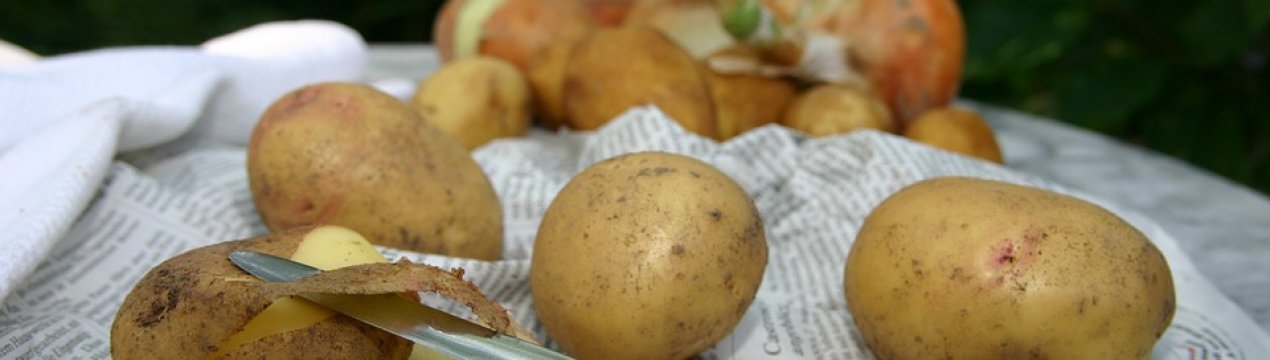 Великобританія зіткнулася з дефіцитом картоплі