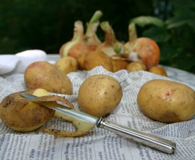 Великобританія зіткнулася з дефіцитом картоплі