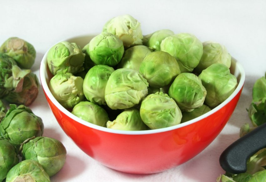 Великобританія стикається з дефіцитом картоплі Великобританія стикається з дефіцитом картоплі