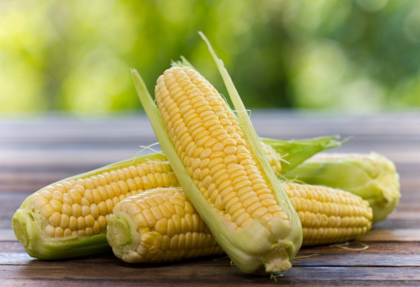 Великобританія стикається з дефіцитом картоплі Великобританія стикається з дефіцитом картоплі