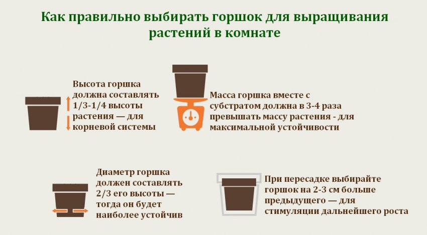 Как посадить можжевельник в горшок. Смотреть фото Как посадить можжевельник в горшок. Смотреть картинку Как посадить можжевельник в горшок. Картинка про Как посадить можжевельник в горшок. Фото Как посадить можжевельник в горшок