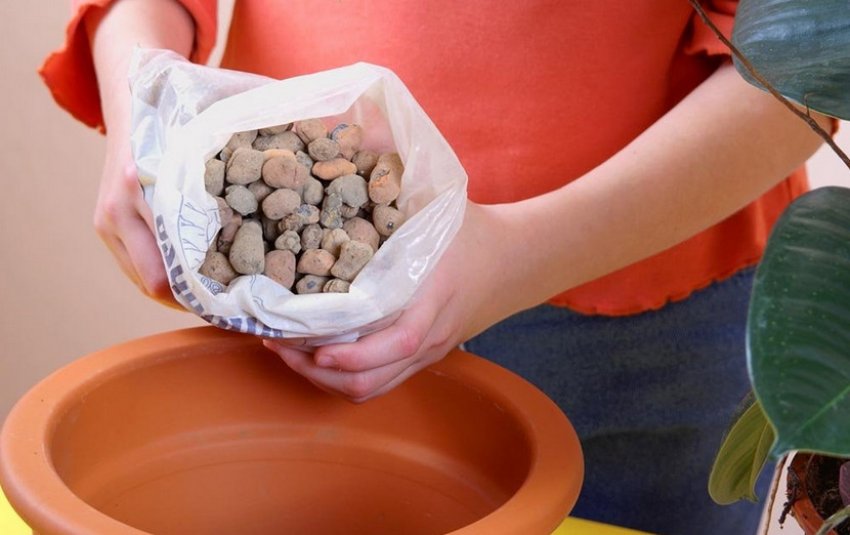 Дренаж горщика Дренаж горщика