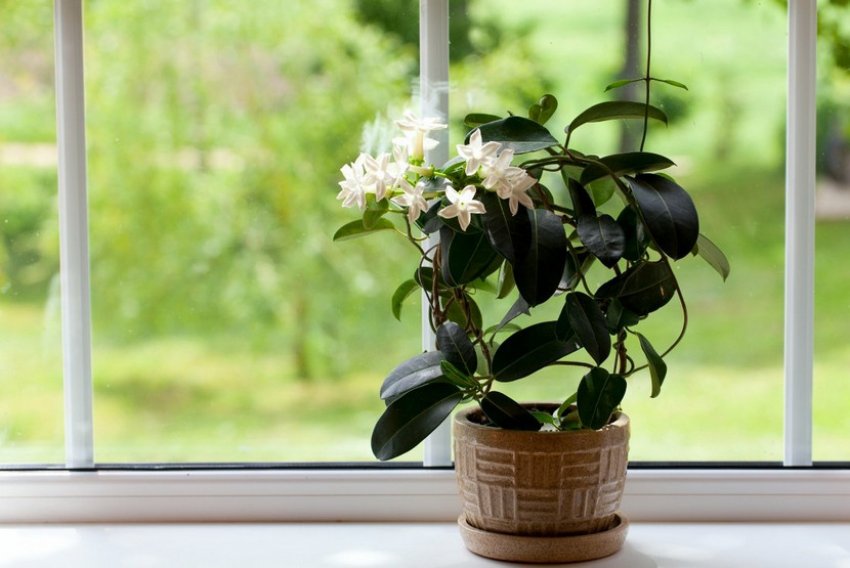 Освітлення Освітлення