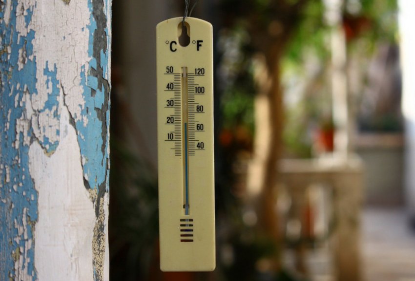 Температура Температура