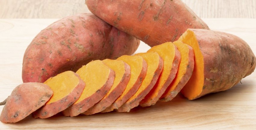 Єдиний в Україні виробник органічного батата виставив продукт на продаж Єдиний в Україні виробник органічного батата виставив продукт на продаж