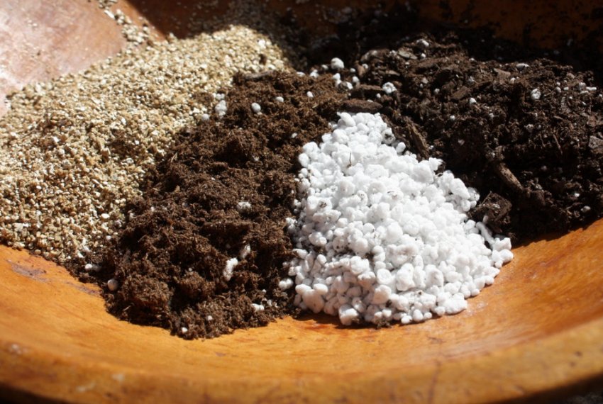 Почвосмесь