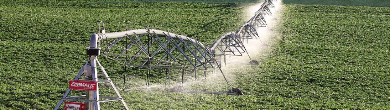 Зрошувані поля розширюються в Саратівській області
