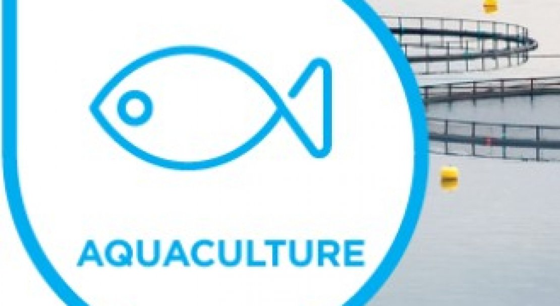 Aquaculture 2020