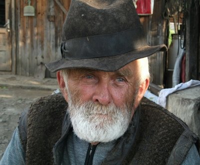 Фермери Німеччини стають банкрутами через аномально жарке літо