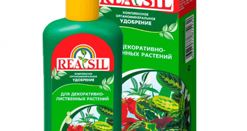 Підживлення Калатеї