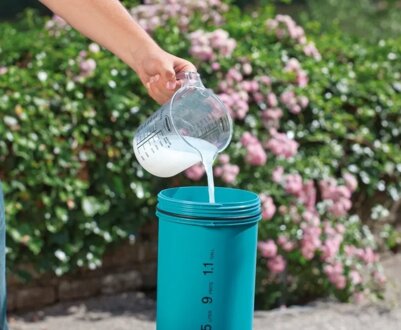 Підживлення гортензій: як удобрювати рослину в різний час року