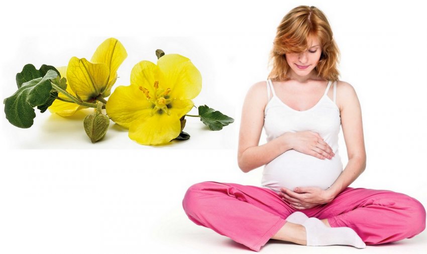 Примула для жінки Примула для жінки