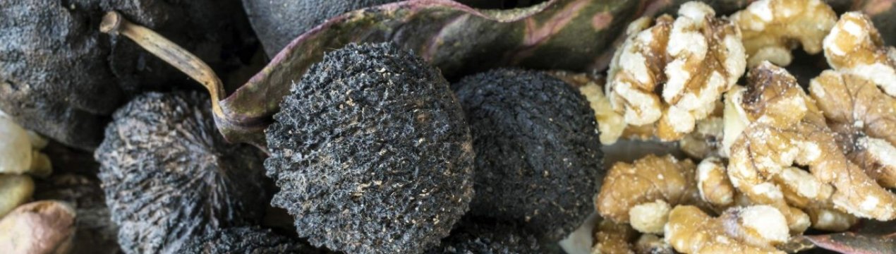 Київські горіховоди практикують оригінальний спосіб вирощування продукції