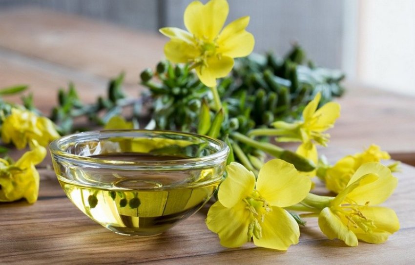 Масло примули Масло примули