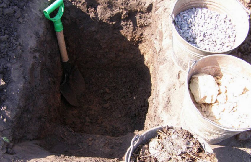 Подготовка посадочной ямы Подготовка посадочной ямы